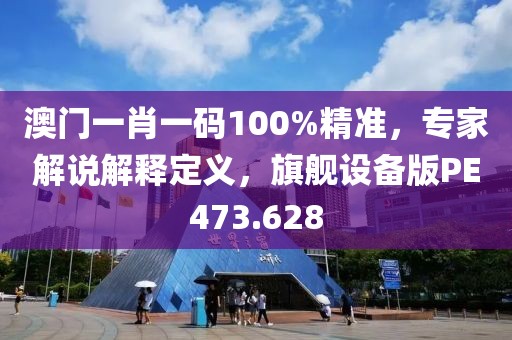澳门一肖一码100%精准，专家解说解释定义，旗舰设备版PE473.628