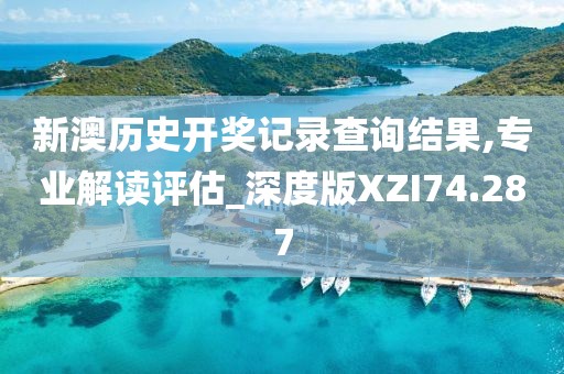 新澳历史开奖记录查询结果,专业解读评估_深度版XZI74.287