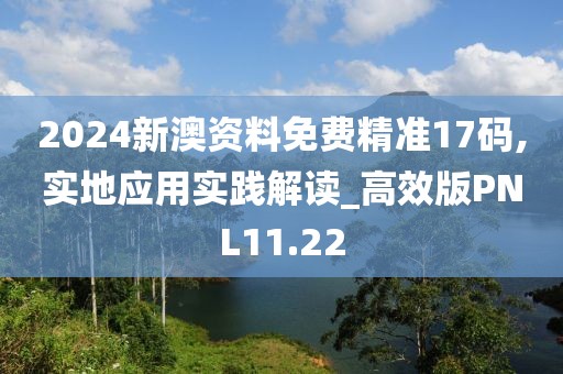 2024新澳资料免费精准17码,实地应用实践解读_高效版PNL11.22