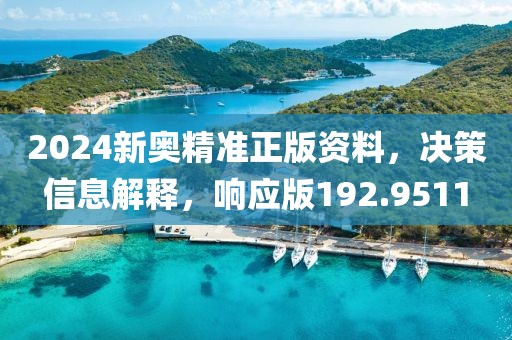 2024新奥精准正版资料，决策信息解释，响应版192.9511