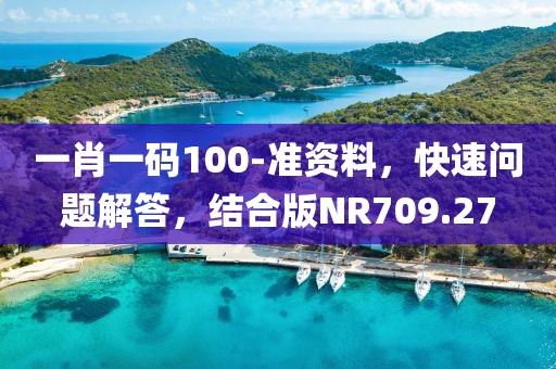 一肖一码100-准资料，快速问题解答，结合版NR709.27