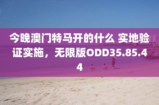今晚澳门特马开的什么 实地验证实施，无限版ODD35.85.44