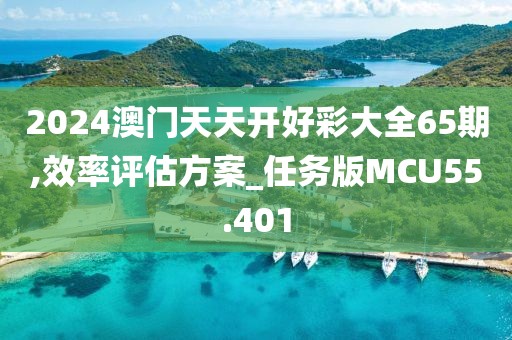 2024澳门天天开好彩大全65期,效率评估方案_任务版MCU55.401
