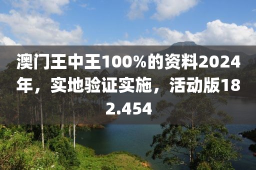 澳门王中王100%的资料2024年，实地验证实施，活动版182.454