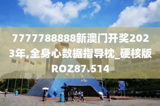 7777788888新澳门开奖2023年,全身心数据指导枕_硬核版ROZ87.514