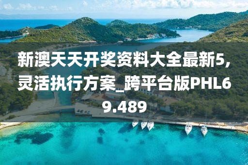 新澳天天开奖资料大全最新5,灵活执行方案_跨平台版PHL69.489