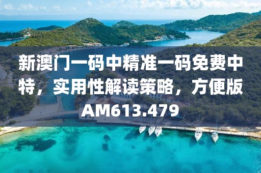 新澳门一码中精准一码免费中特，实用性解读策略，方便版AM613.479