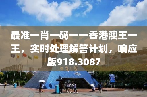 最准一肖一码一一香港澳王一王，实时处理解答计划，响应版918.3087
