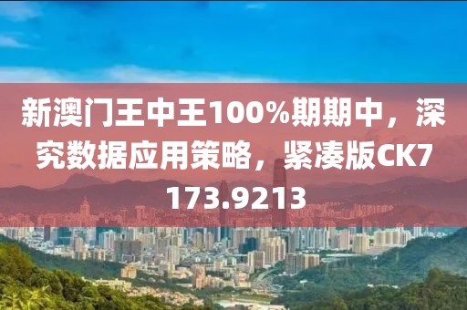 新澳门王中王100%期期中，深究数据应用策略，紧凑版CK7173.9213