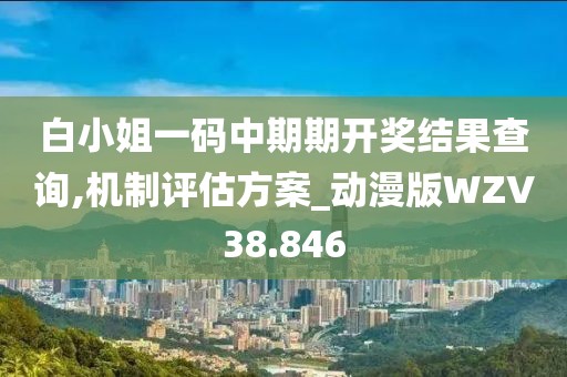白小姐一码中期期开奖结果查询,机制评估方案_动漫版WZV38.846