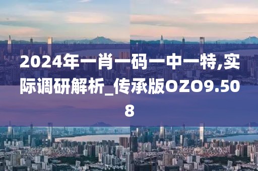 2024年一肖一码一中一特,实际调研解析_传承版OZO9.508
