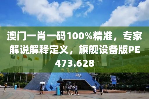 澳门一肖一码100%精准，专家解说解释定义，旗舰设备版PE473.628