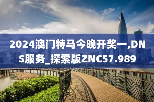 2024澳门特马今晚开奖一,DNS服务_探索版ZNC57.989