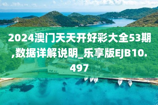 2024澳门天天开好彩大全53期,数据详解说明_乐享版EJB10.497