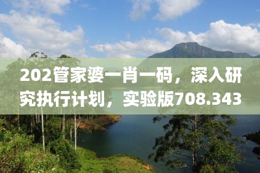 202管家婆一肖一码，深入研究执行计划，实验版708.343