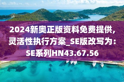 2024新奥正版资料免费提供,灵活性执行方案_SE版改写为：SE系列HN43.67.56