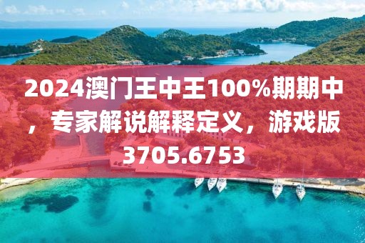 2024澳门王中王100%期期中，专家解说解释定义，游戏版3705.6753