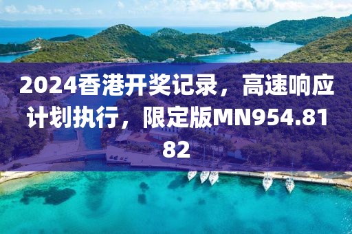 2024香港开奖记录，高速响应计划执行，限定版MN954.8182