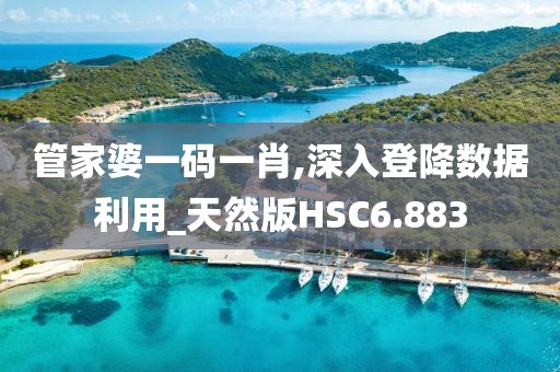 管家婆一码一肖,深入登降数据利用_天然版HSC6.883