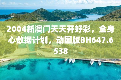2004新澳门天天开好彩，全身心数据计划，动图版BH647.6538