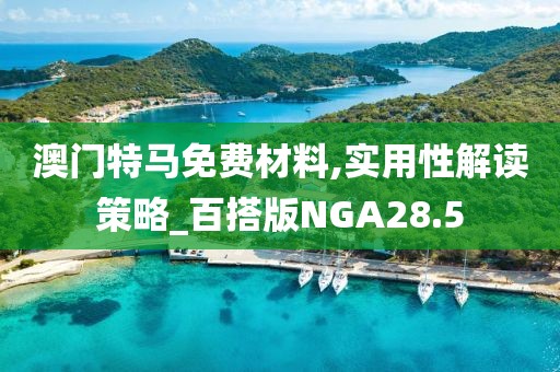 澳门特马免费材料,实用性解读策略_百搭版NGA28.5