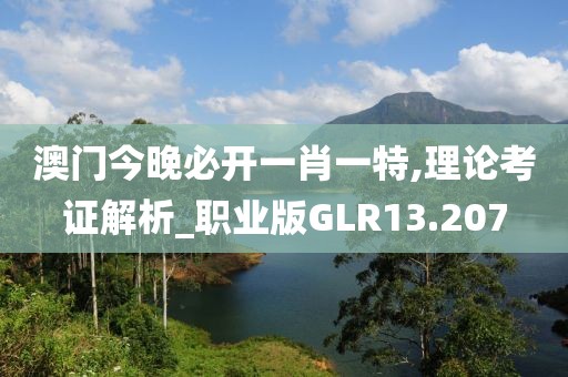 澳门今晚必开一肖一特,理论考证解析_职业版GLR13.207