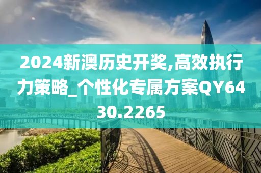 2024新澳历史开奖,高效执行力策略_个性化专属方案QY6430.2265