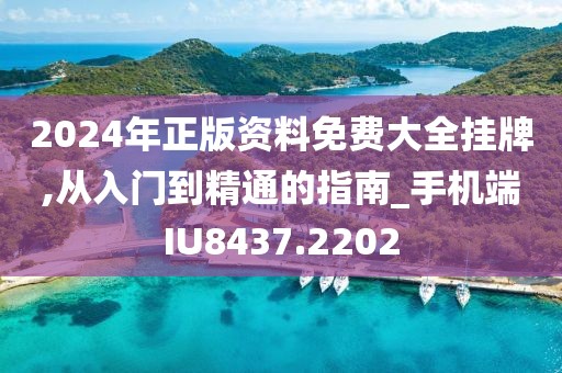 2024年正版资料免费大全挂牌,从入门到精通的指南_手机端IU8437.2202