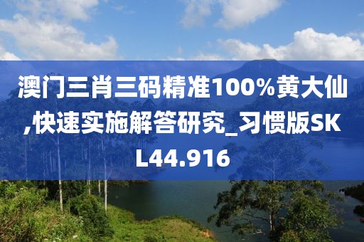澳门三肖三码精准100%黄大仙,快速实施解答研究_习惯版SKL44.916