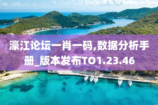 濠江论坛一肖一码,数据分析手册_版本发布TO1.23.46