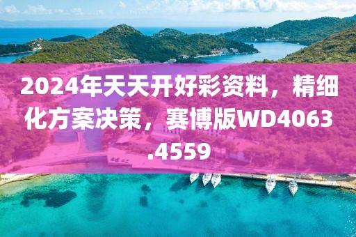 2024年天天开好彩资料，精细化方案决策，赛博版WD4063.4559