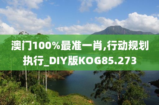 澳门100%最准一肖,行动规划执行_DIY版KOG85.273