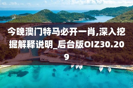 今晚澳门特马必开一肖,深入挖掘解释说明_后台版OIZ30.209