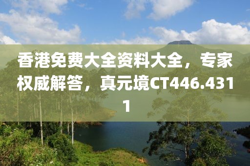 香港免费大全资料大全，专家权威解答，真元境CT446.4311