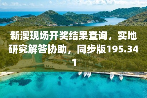 新澳现场开奖结果查询，实地研究解答协助，同步版195.341