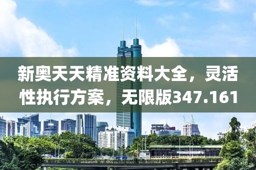 新奥天天精准资料大全，灵活性执行方案，无限版347.161