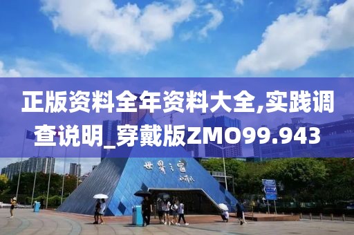 正版资料全年资料大全,实践调查说明_穿戴版ZMO99.943