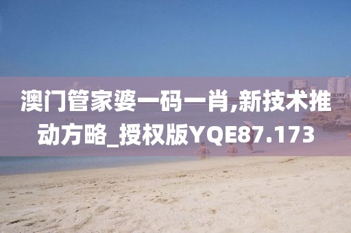 澳门管家婆一码一肖,新技术推动方略_授权版YQE87.173