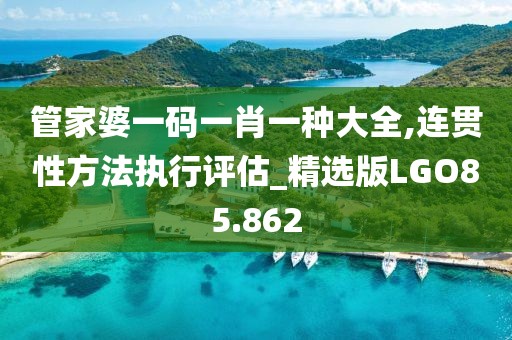 管家婆一码一肖一种大全,连贯性方法执行评估_精选版LGO85.862