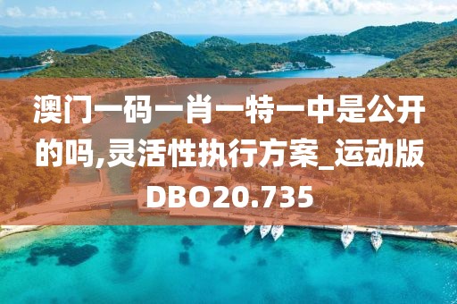 澳门一码一肖一特一中是公开的吗,灵活性执行方案_运动版DBO20.735