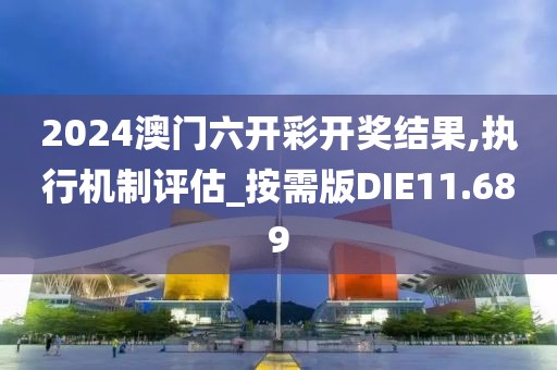 2024澳门六开彩开奖结果,执行机制评估_按需版DIE11.689