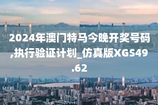 2024年澳门特马今晚开奖号码,执行验证计划_仿真版XGS49.62