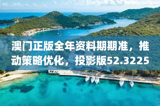 澳门正版全年资料期期准，推动策略优化，投影版52.3225