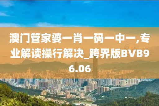 澳门管家婆一肖一码一中一,专业解读操行解决_跨界版BVB96.06