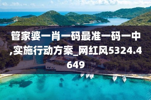 管家婆一肖一码最准一码一中,实施行动方案_网红风5324.4649