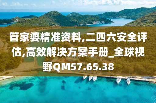 管家婆精准资料,二四六安全评估,高效解决方案手册_全球视野QM57.65.38