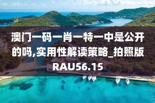 澳门一码一肖一特一中是公开的吗,实用性解读策略_拍照版RAU56.15