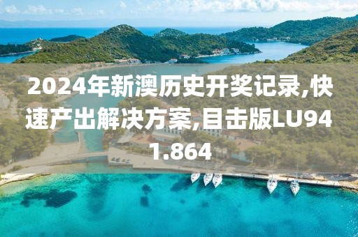 2024年新澳历史开奖记录,快速产出解决方案,目击版LU941.864