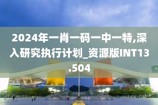 2024年一肖一码一中一特,深入研究执行计划_资源版INT13.504