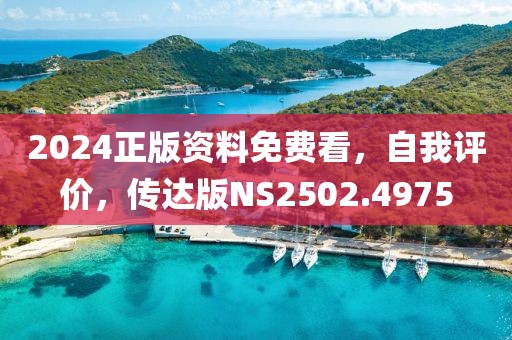 2024正版资料免费看，自我评价，传达版NS2502.4975